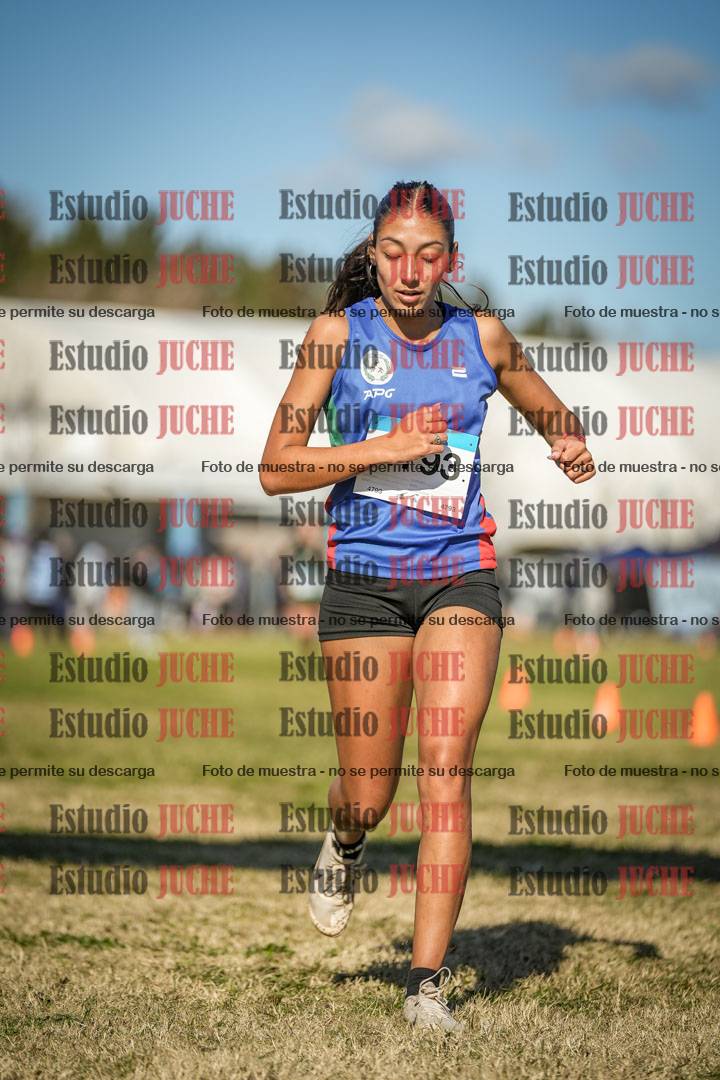 Fotos de las llegadas