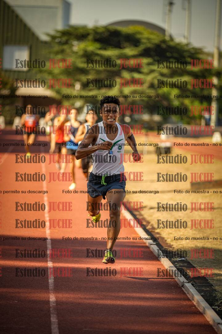 Fotos de los 800 m llanos de varones