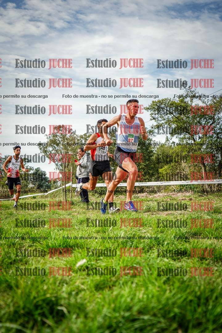 Fotos en el circuito