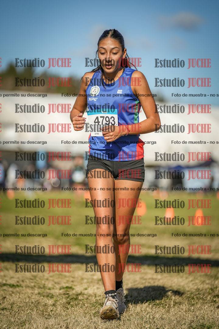 Fotos de las llegadas