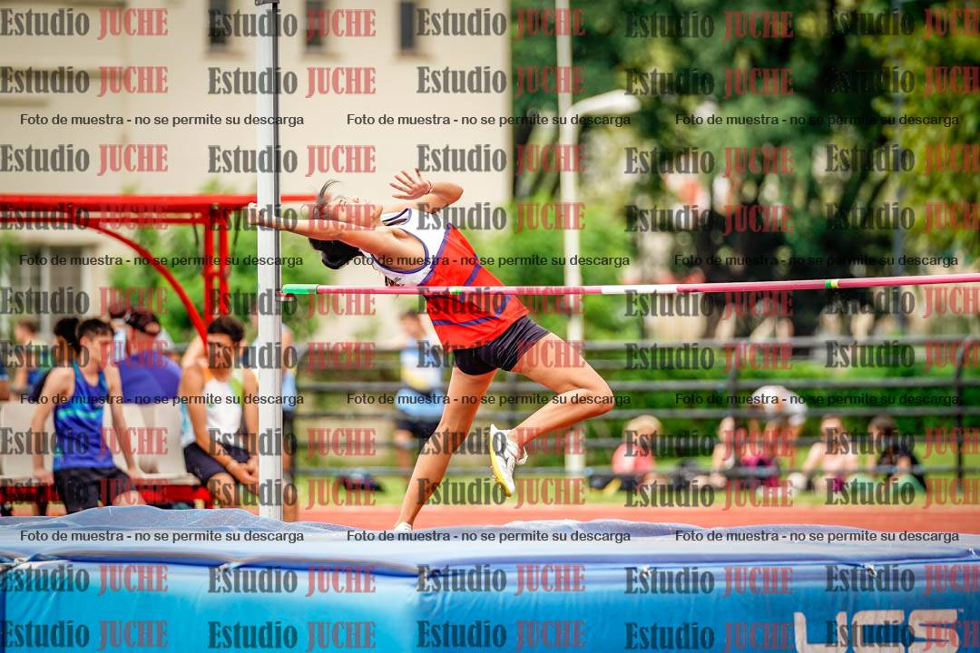 Fotos del salto en alto