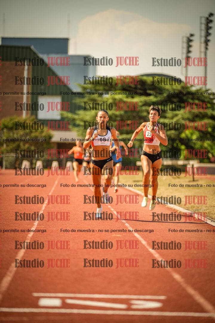 Fotos de los 800 m llanos de mujeres