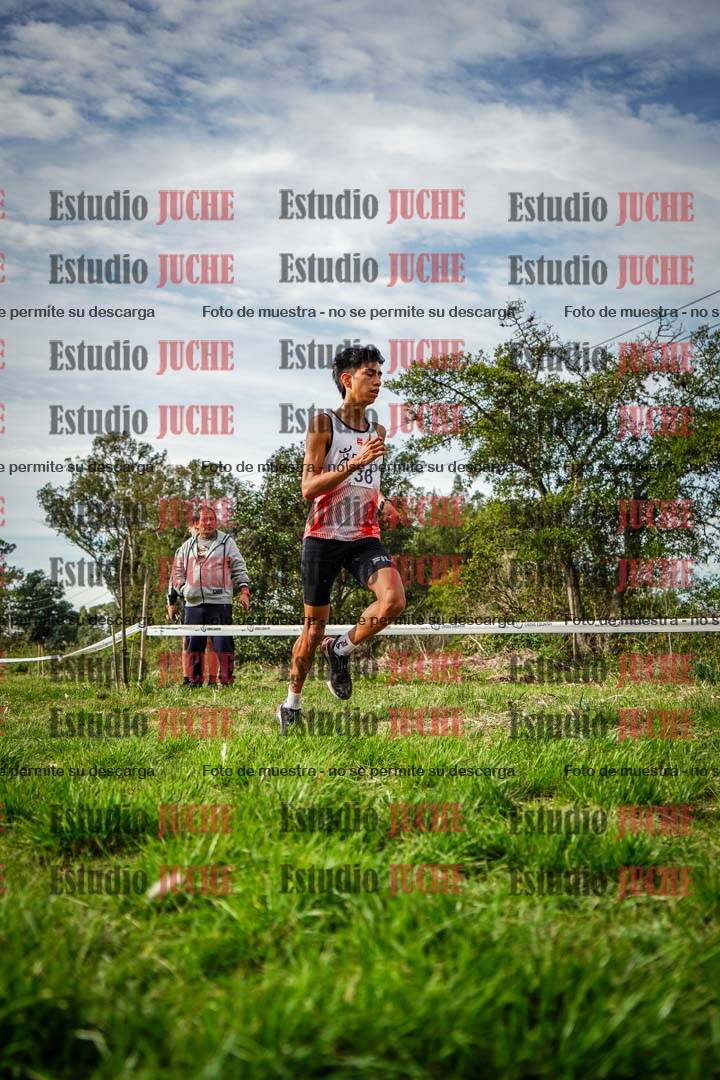Fotos en el circuito