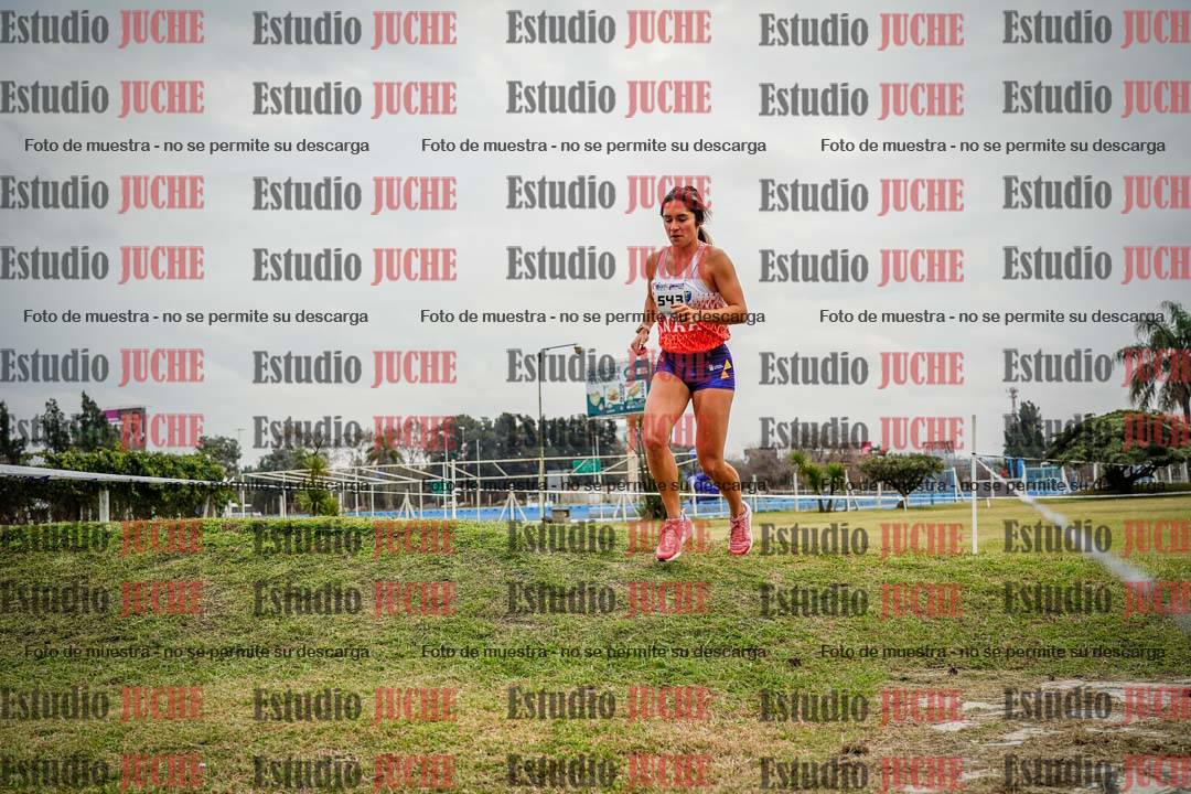 Fotos en el circuito