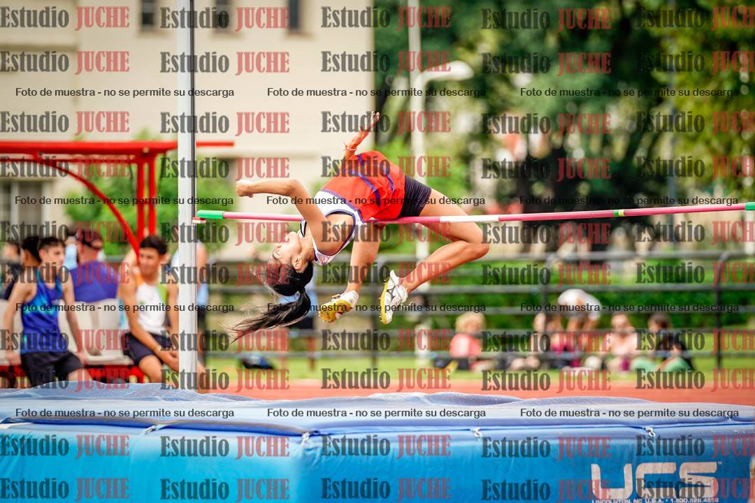Fotos del salto en alto