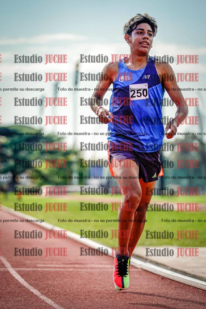 Fotos de los 800 m llanos de varones