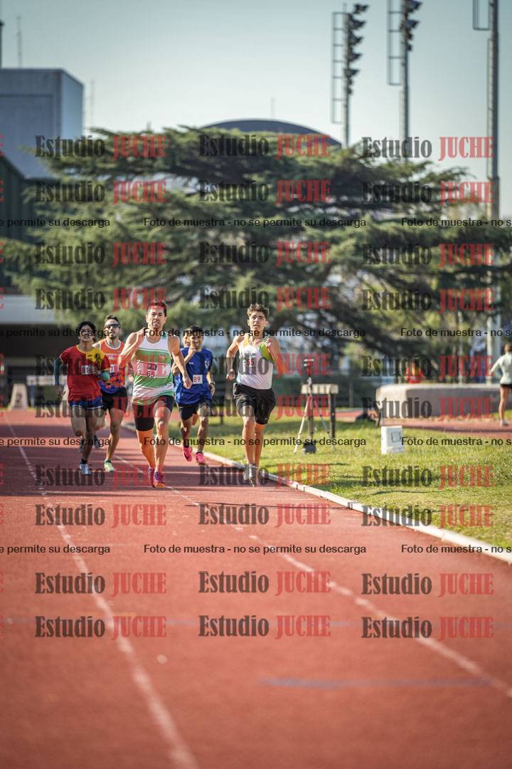Fotos de los 800 m llanos de varones