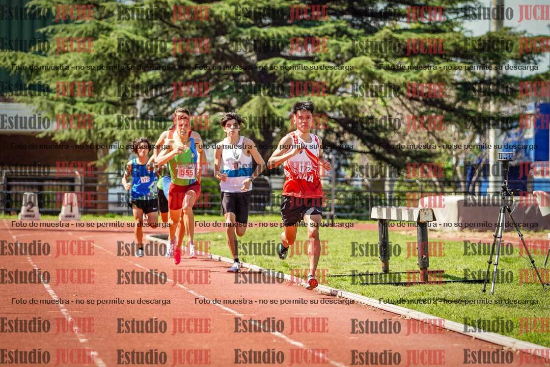 Fotos de los 800 m llanos de varones