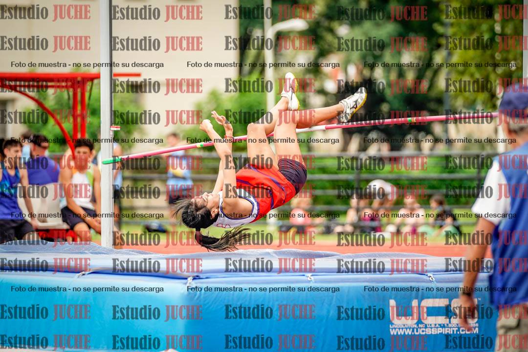 Fotos del salto en alto