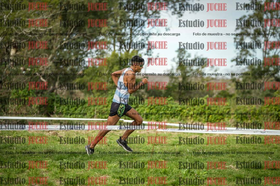Fotos en el circuito
