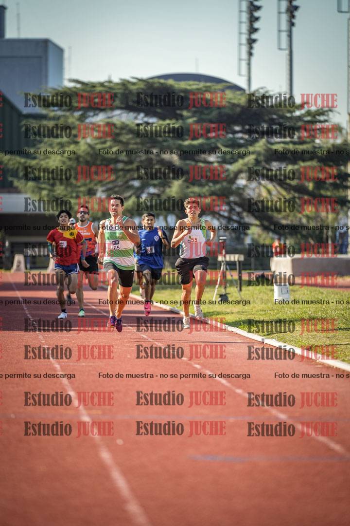 Fotos de los 800 m llanos de varones