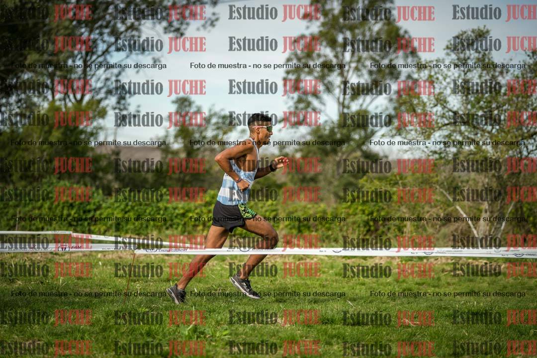 Fotos en el circuito