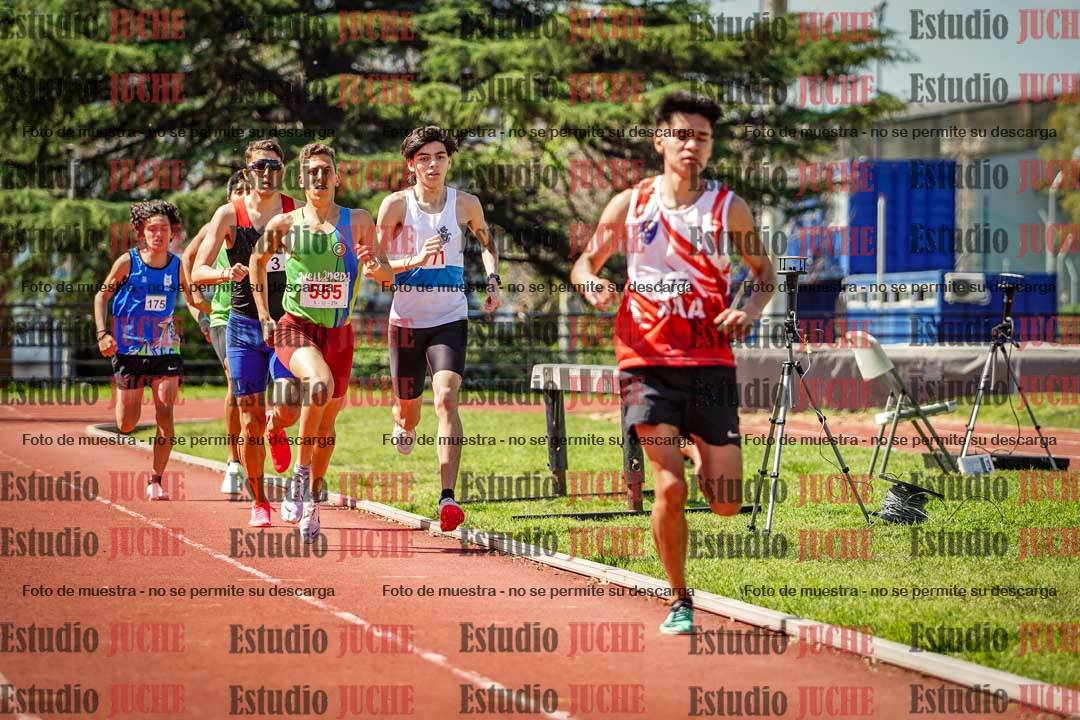 Fotos de los 800 m llanos de varones