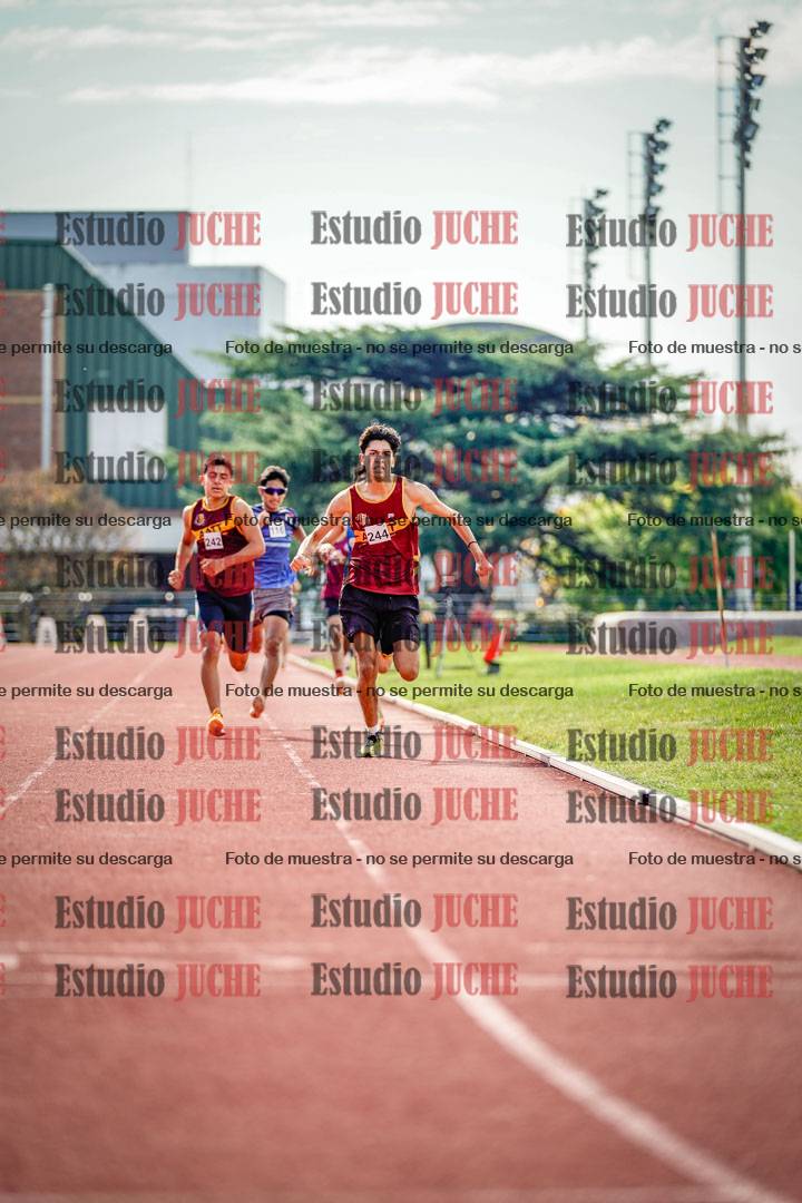 Fotos de los 800 m llanos de varones