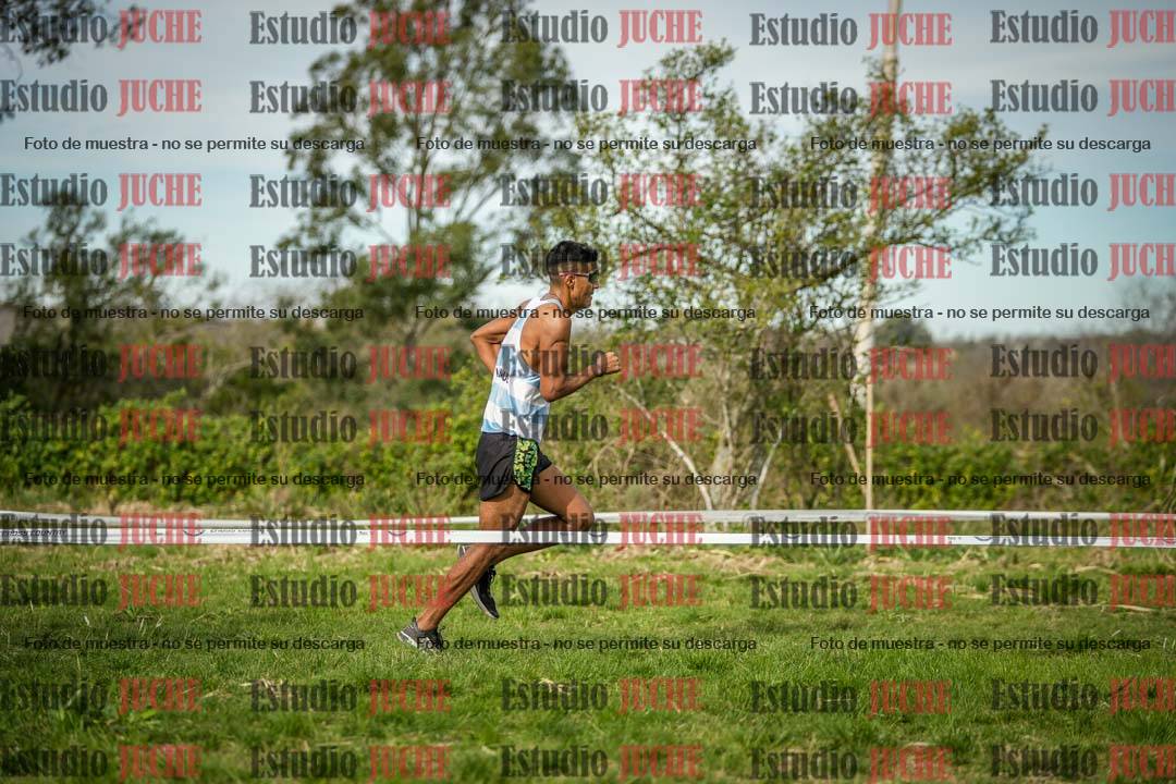Fotos en el circuito