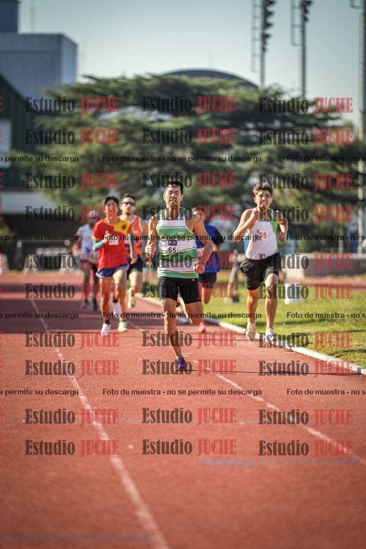 Fotos de los 800 m llanos de varones