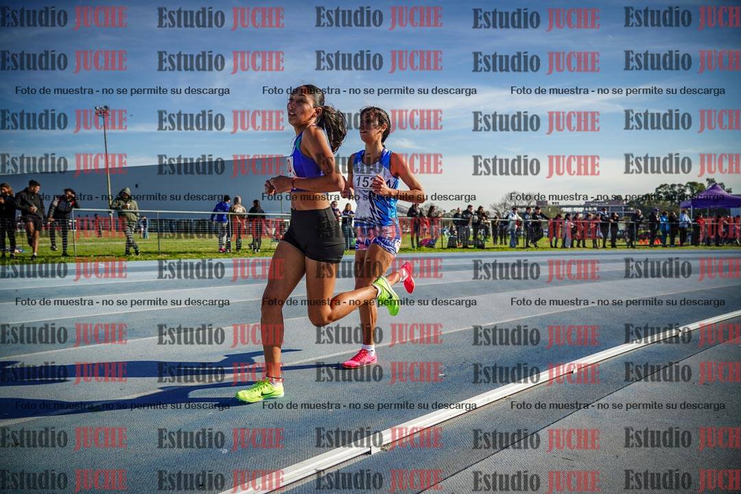 Fotos de los 1500 m llanos de mujeres