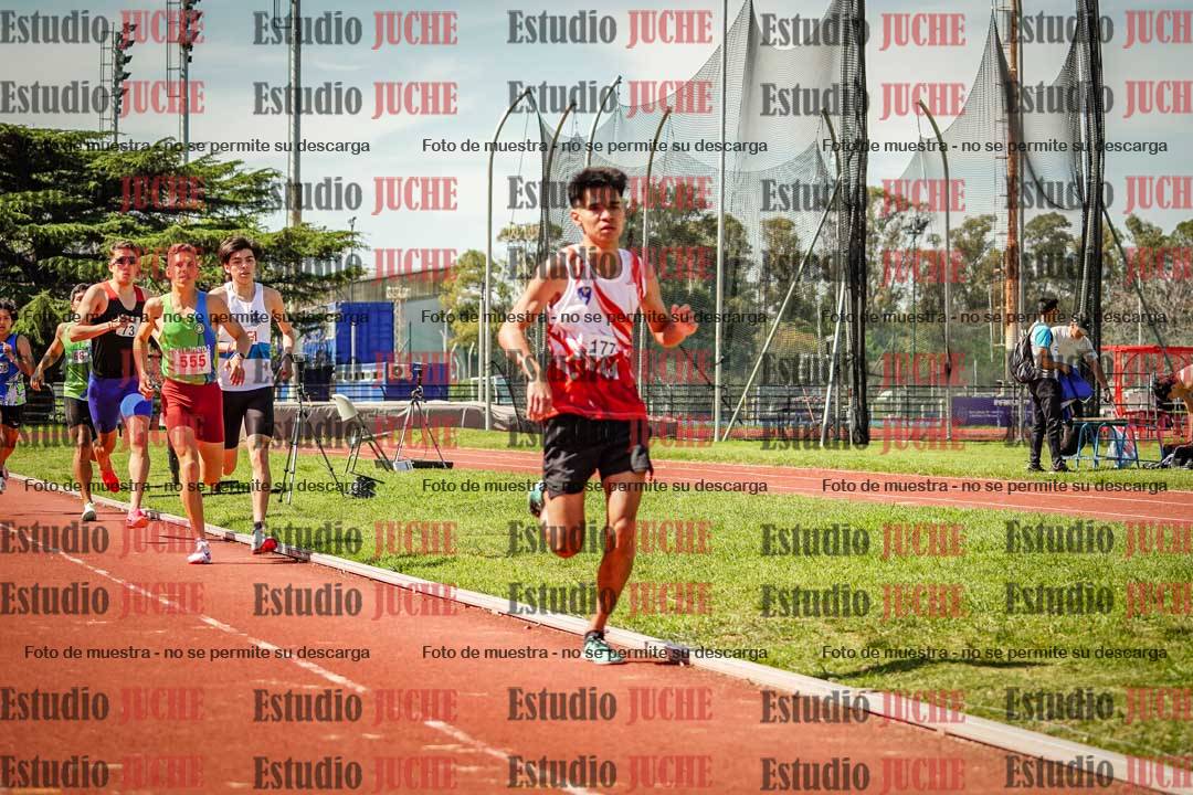 Fotos de los 800 m llanos de varones