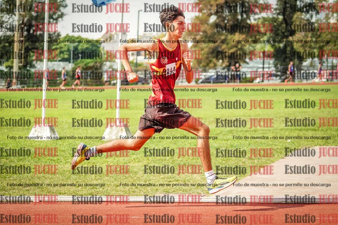 Fotos de los 800 m llanos de varones