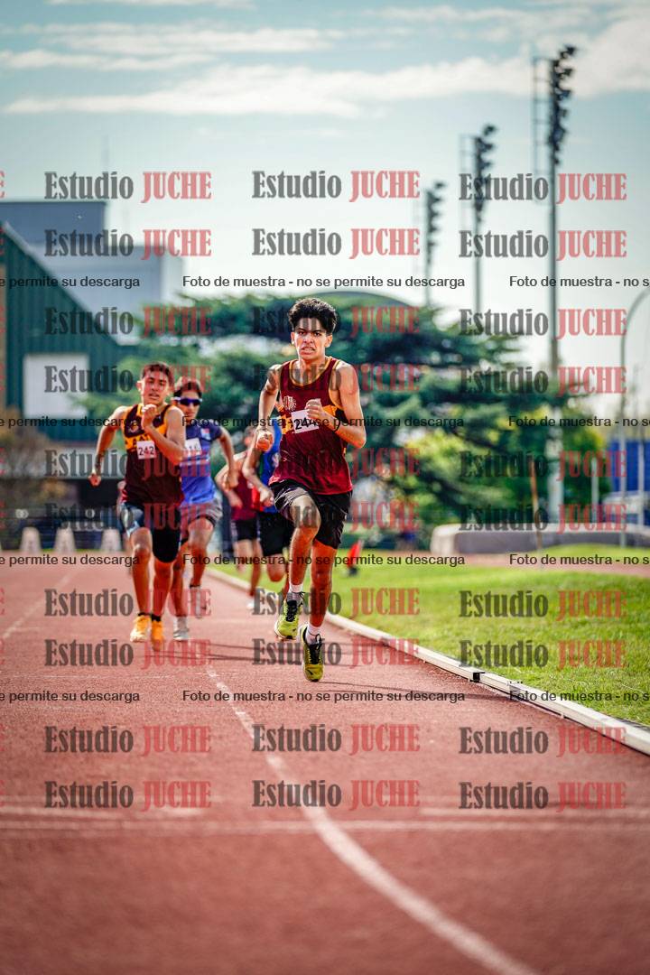 Fotos de los 800 m llanos de varones