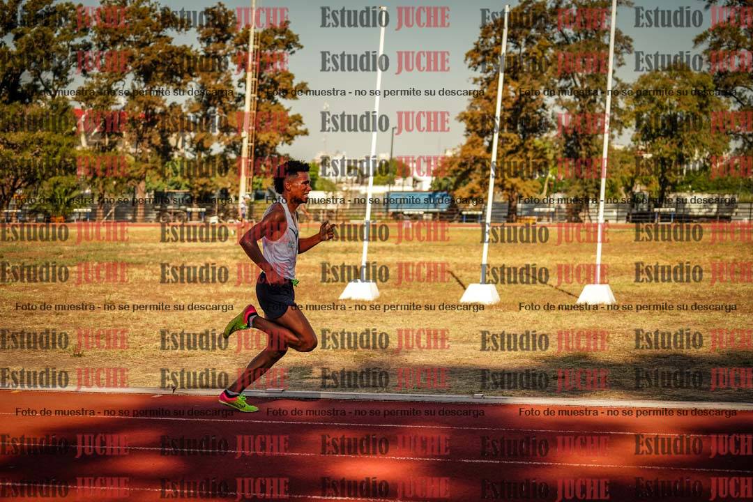 Fotos de los 800 m llanos de varones