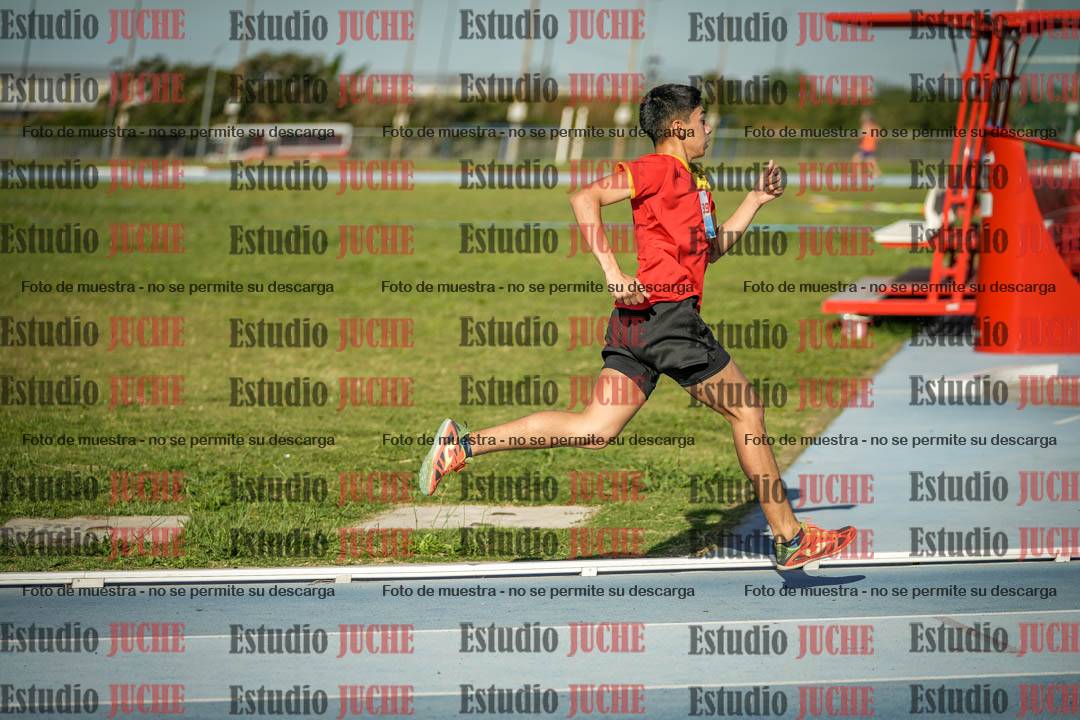 Fotos de los 1500 m llanos de varones