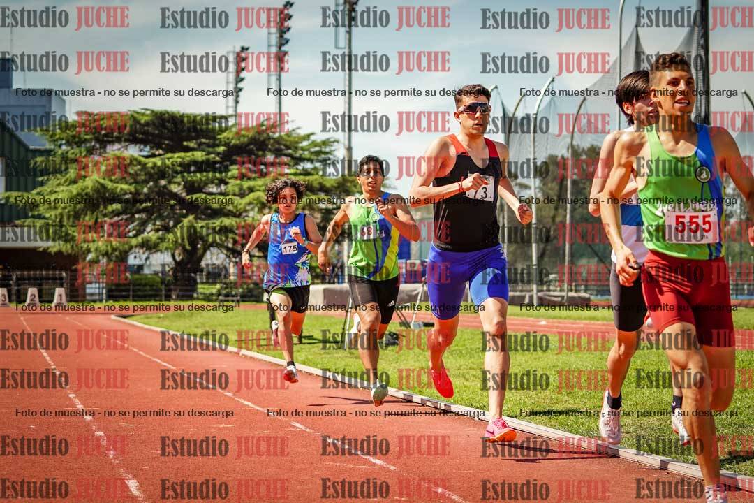 Fotos de los 800 m llanos de varones