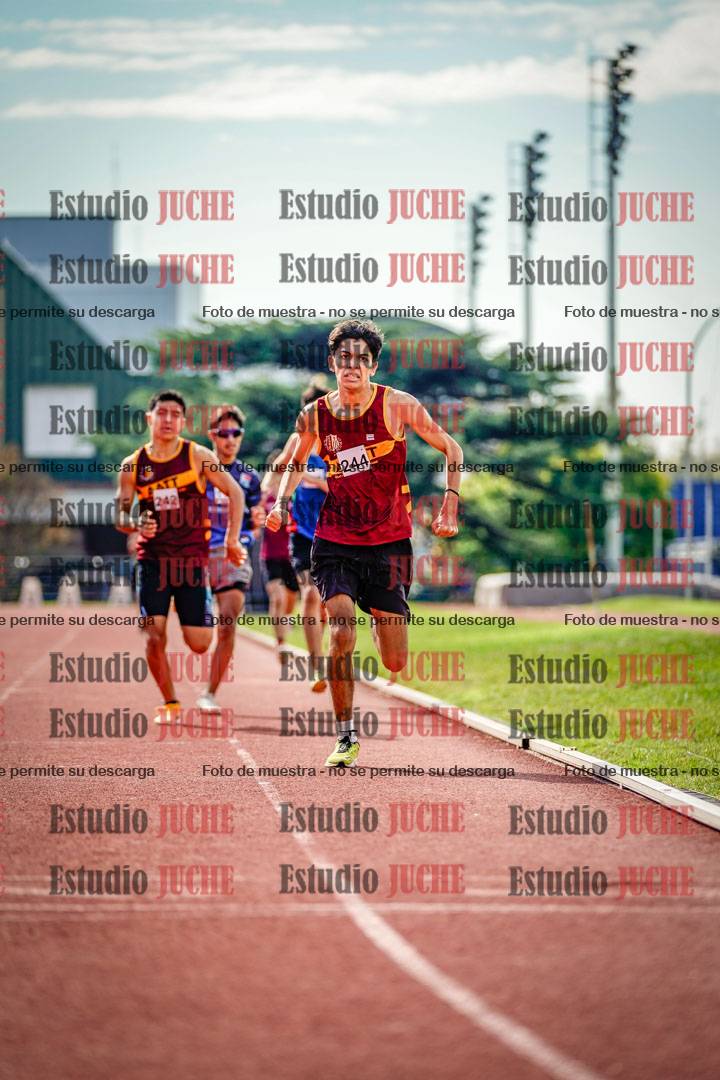Fotos de los 800 m llanos de varones