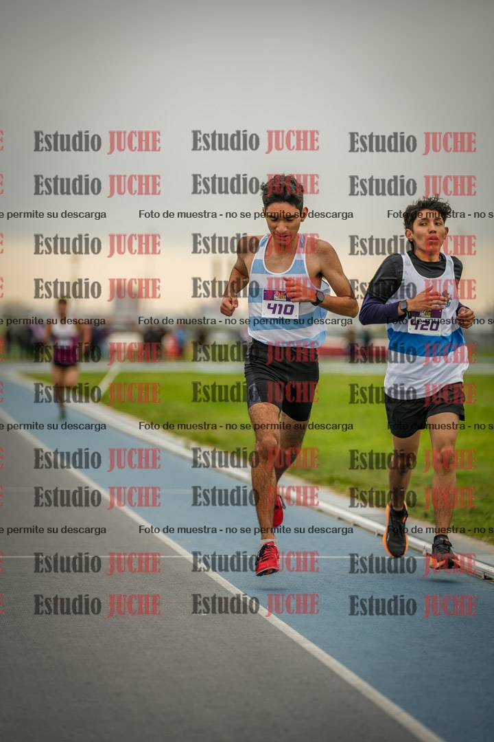 Fotos de los 3000 m llanos de varones - U17 (incluye la marcha atlética)