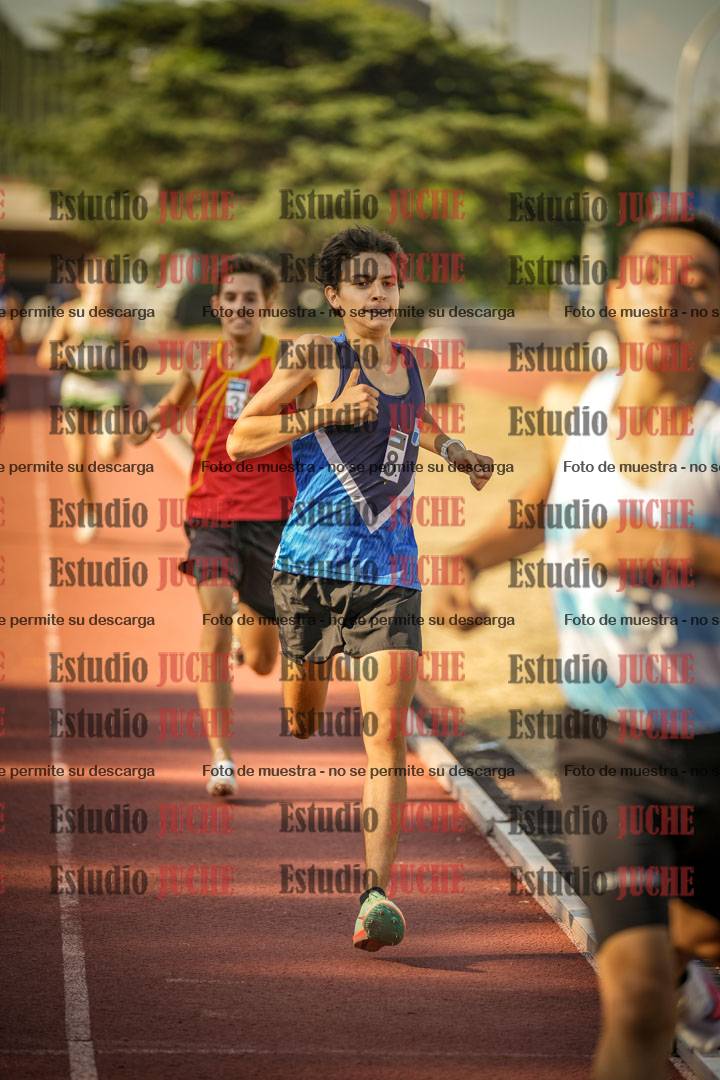 Fotos de los 800 m llanos de varones