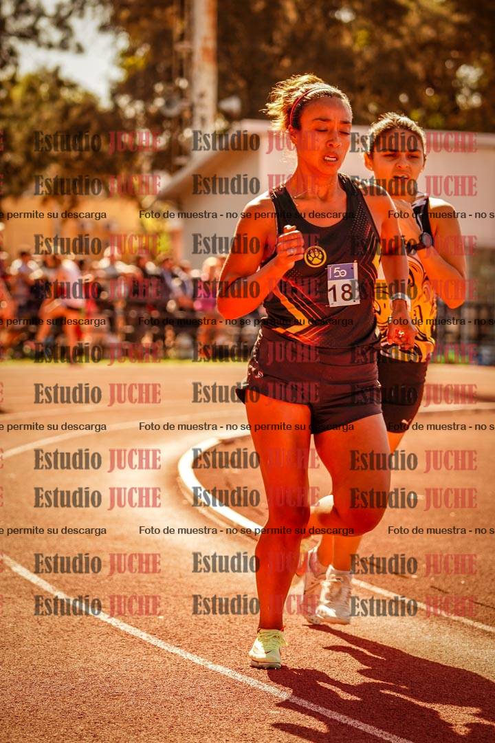 Fotos de los 800 m llanos de mujeres