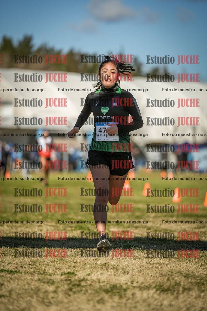 Fotos de las llegadas