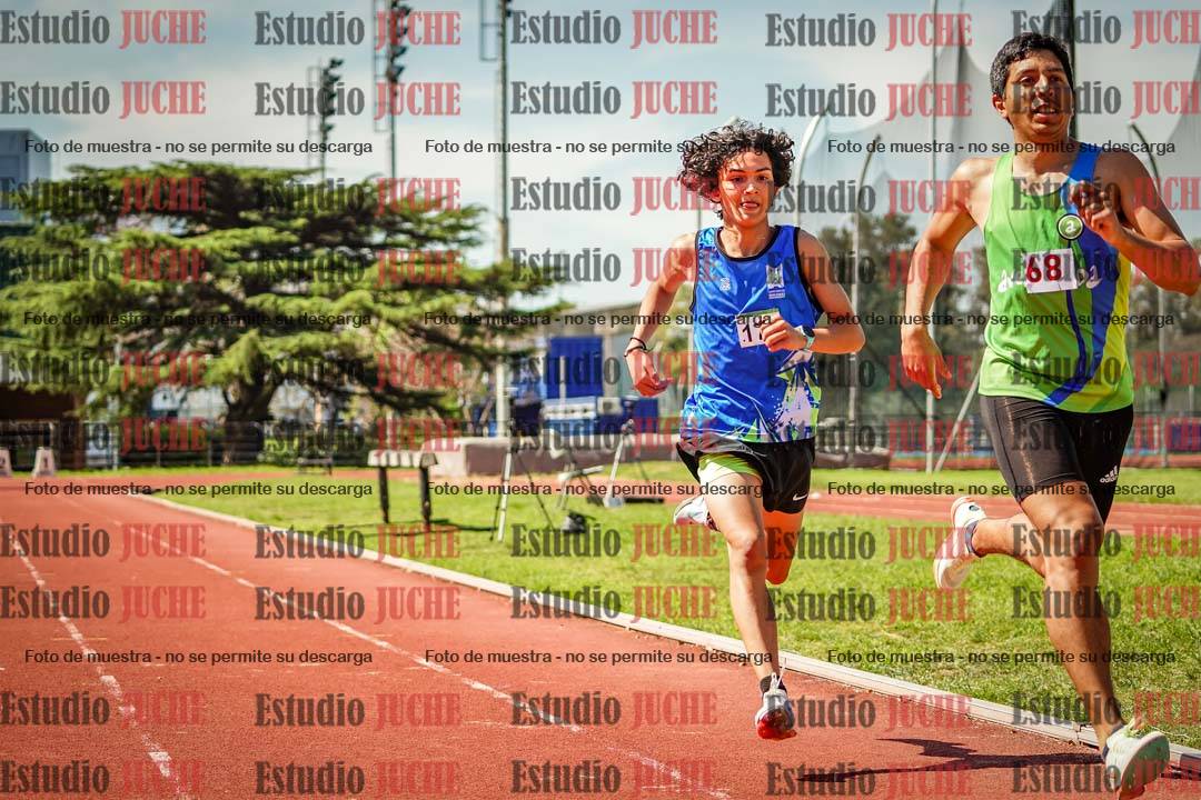 Fotos de los 800 m llanos de varones