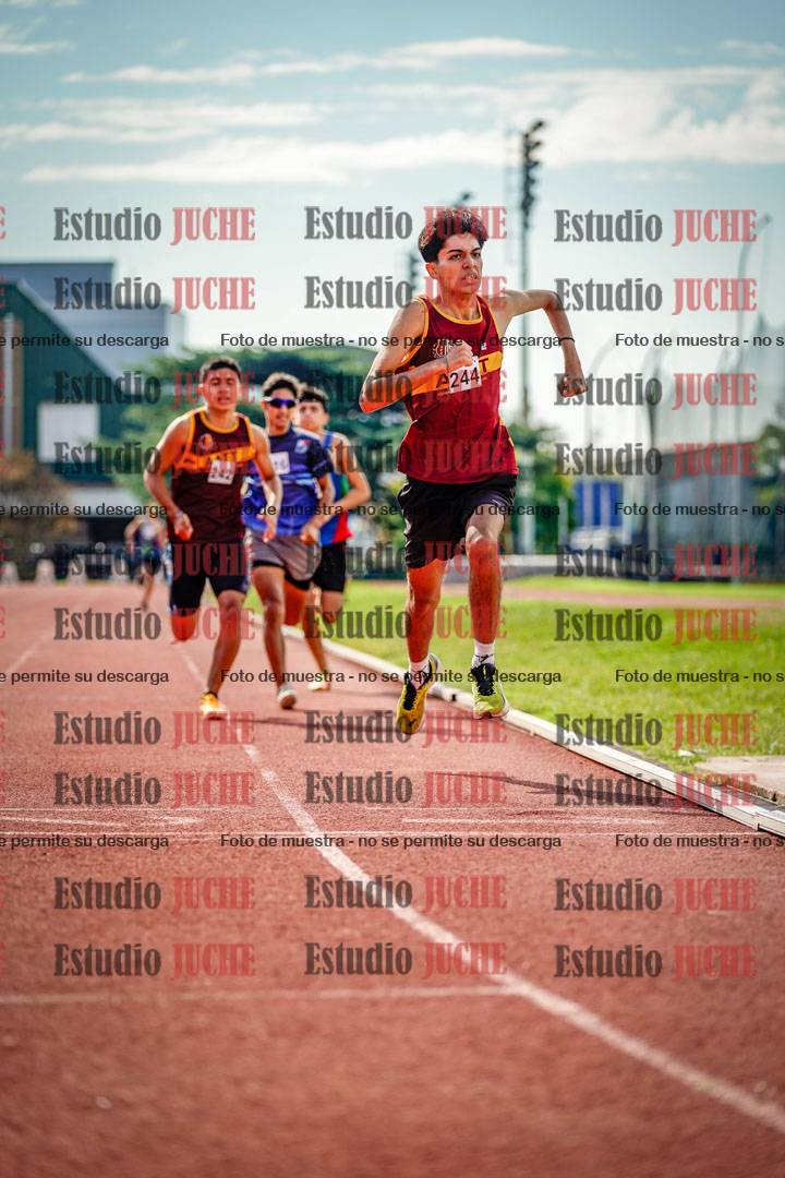 Fotos de los 800 m llanos de varones