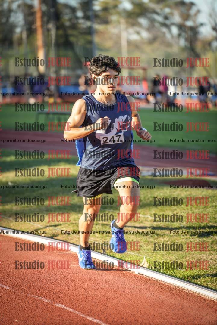 Fotos de los 3000 m llanos de varones