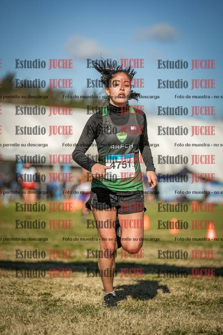 Fotos de las llegadas