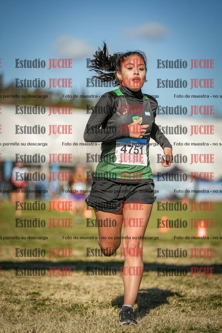 Fotos de las llegadas
