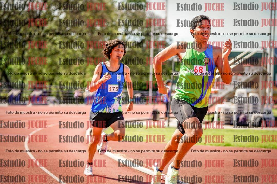 Fotos de los 800 m llanos de varones