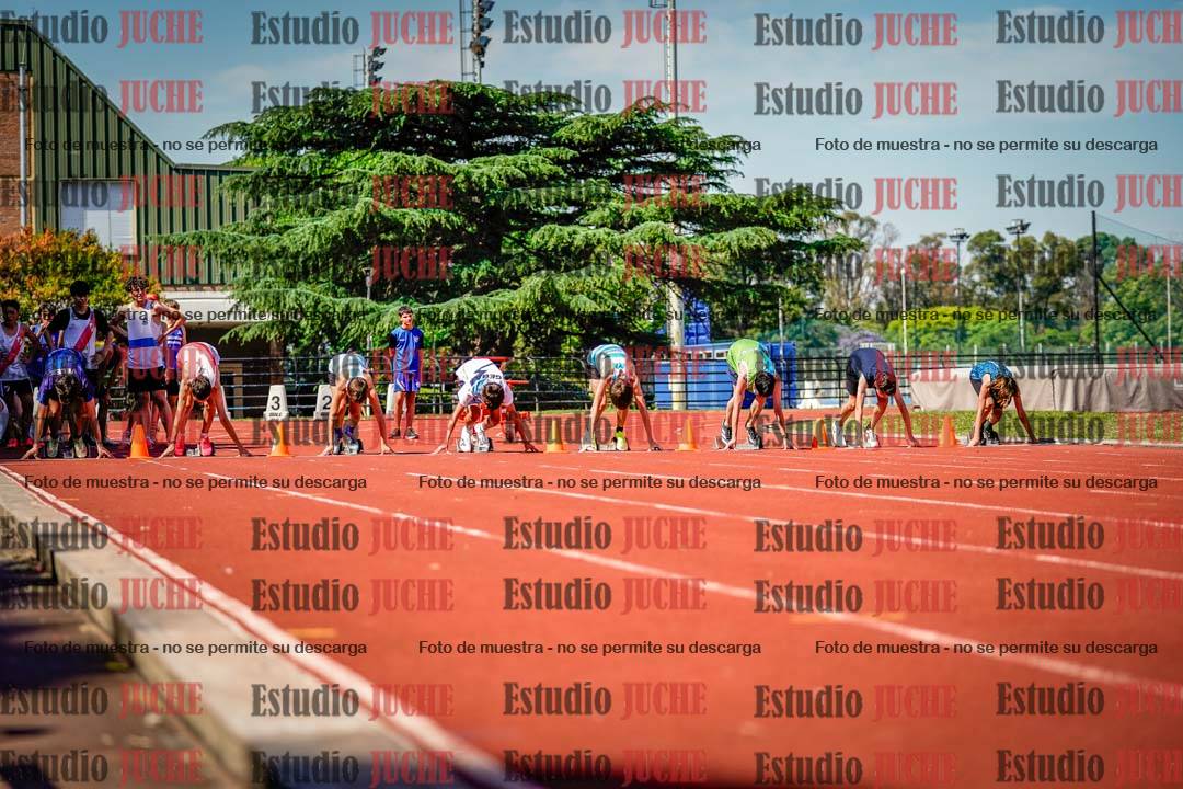 Fotos de los 80 m llanos de varones