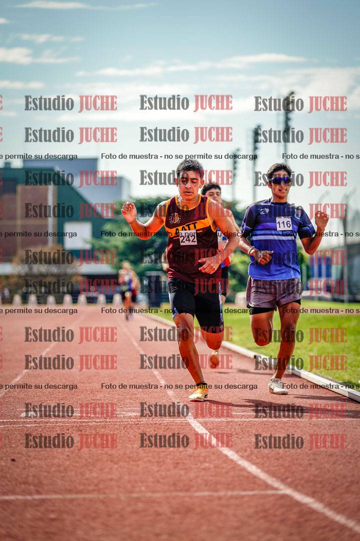 Fotos de los 800 m llanos de varones
