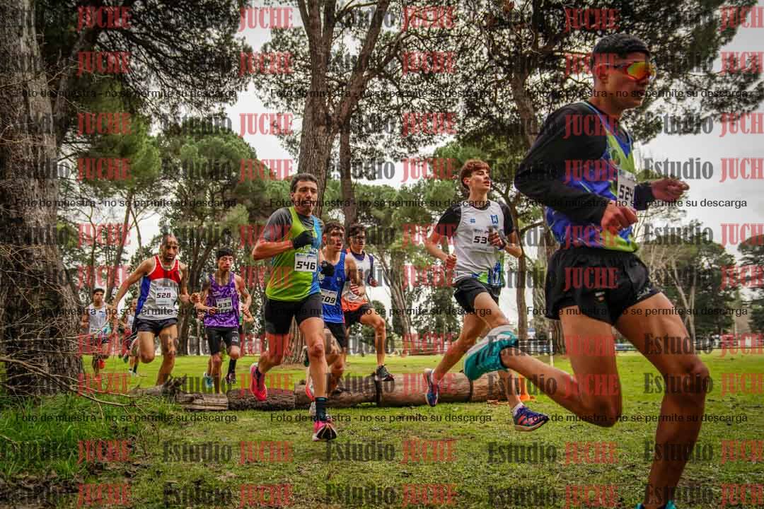 Fotos en el circuito