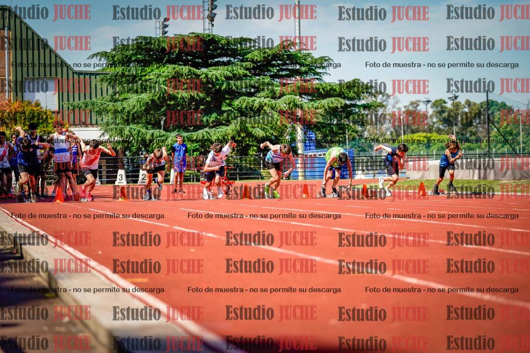 Fotos de los 80 m llanos de varones