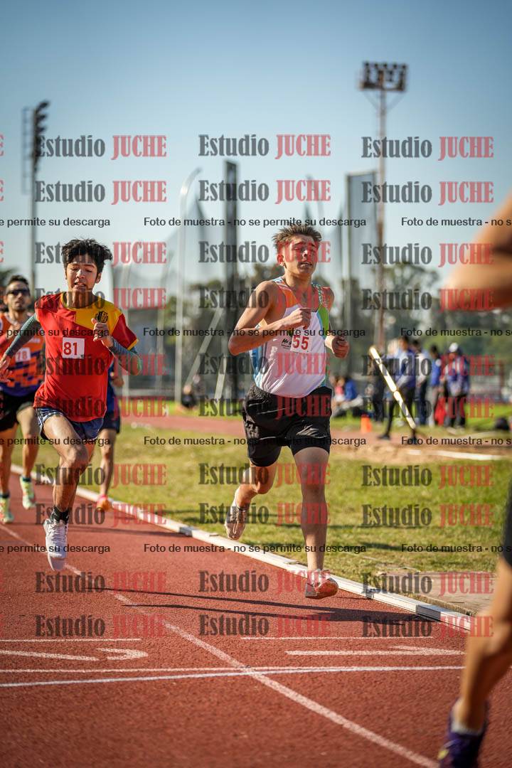 Fotos de los 800 m llanos de varones