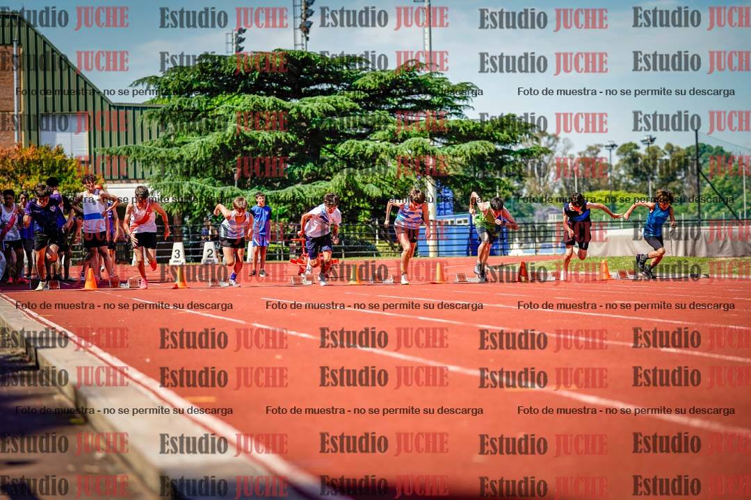 Fotos de los 80 m llanos de varones
