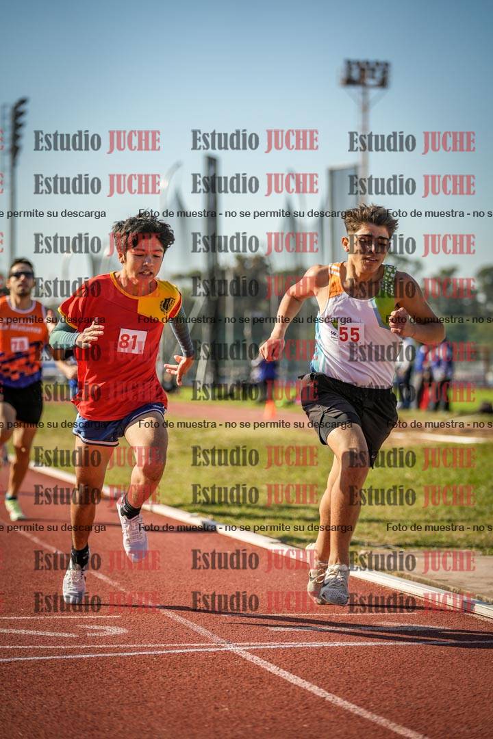 Fotos de los 800 m llanos de varones