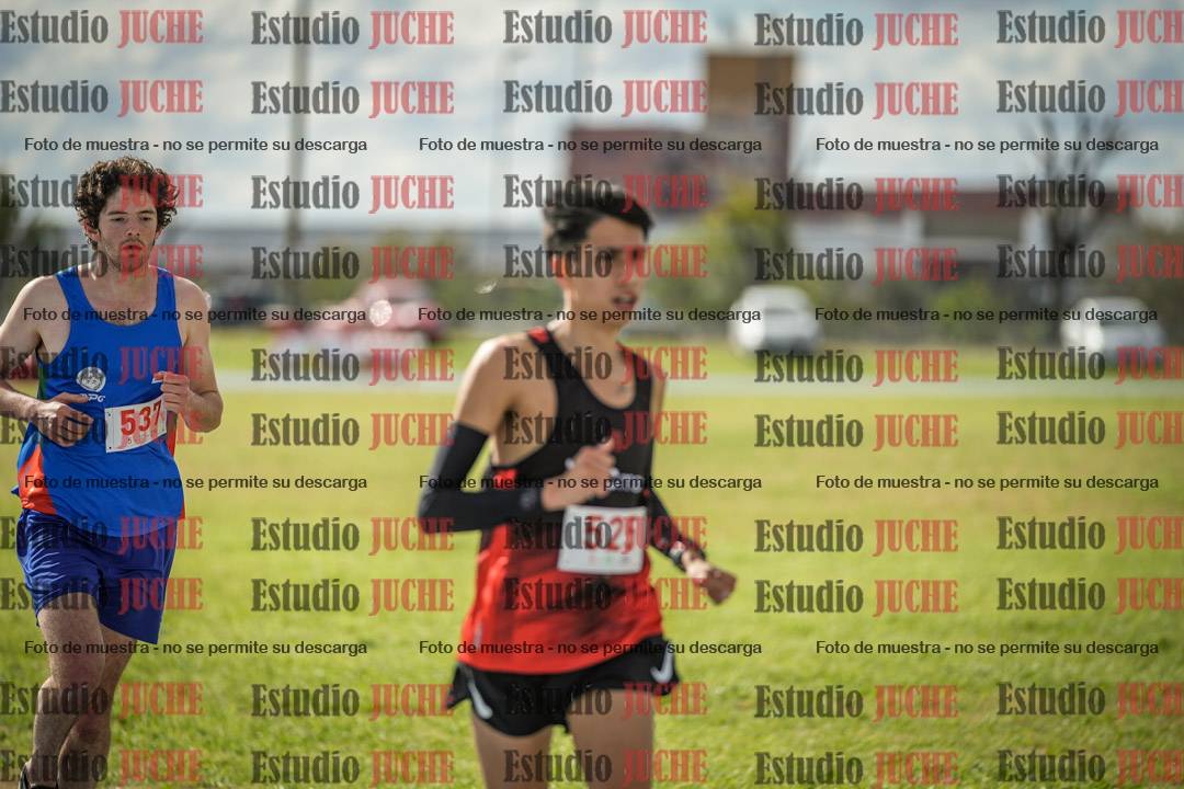 Fotos de los 5000 m llanos de varones