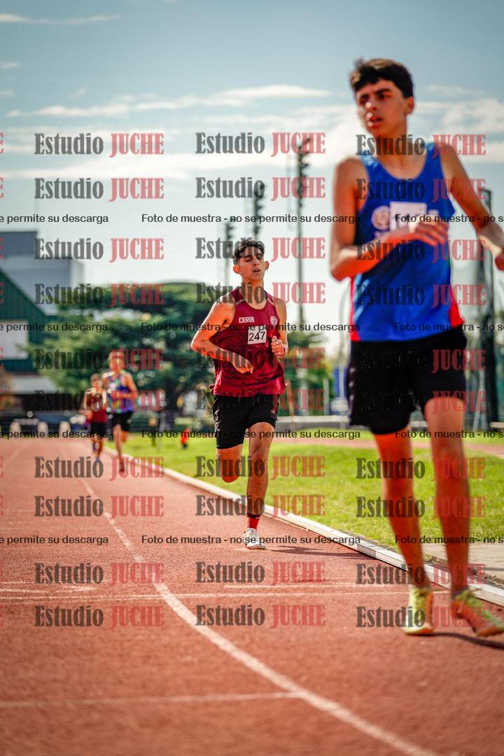 Fotos de los 800 m llanos de varones