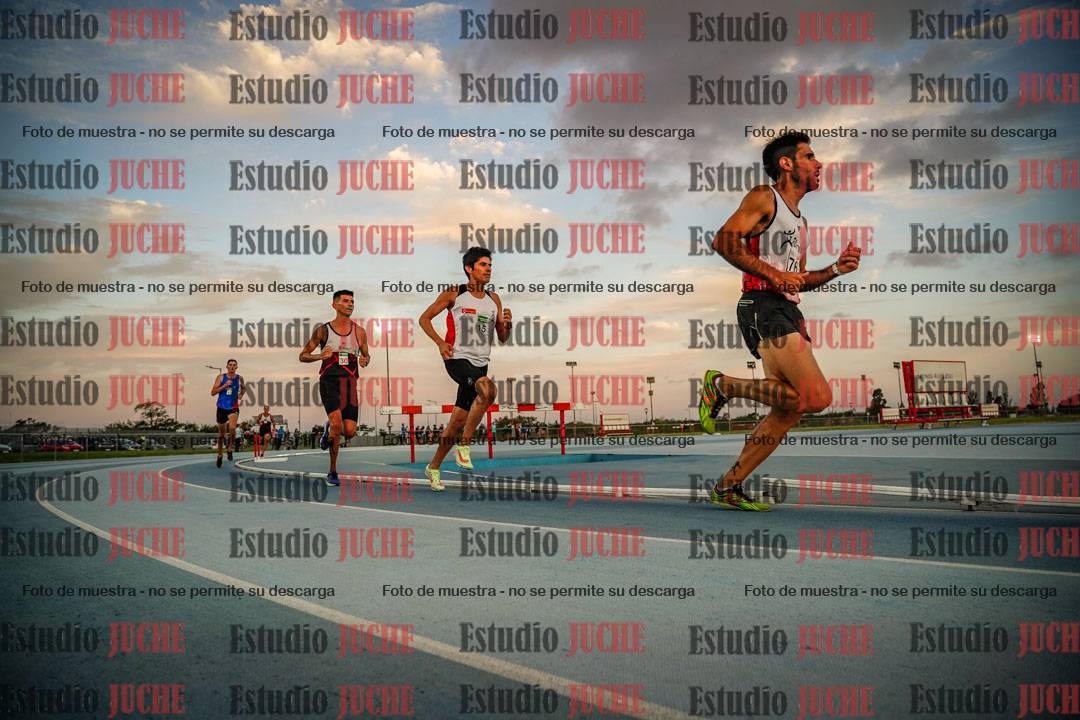 Fotos de los 3000 m llanos de varones