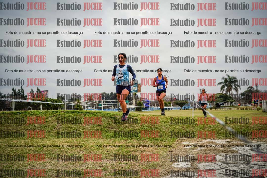 Fotos en el circuito