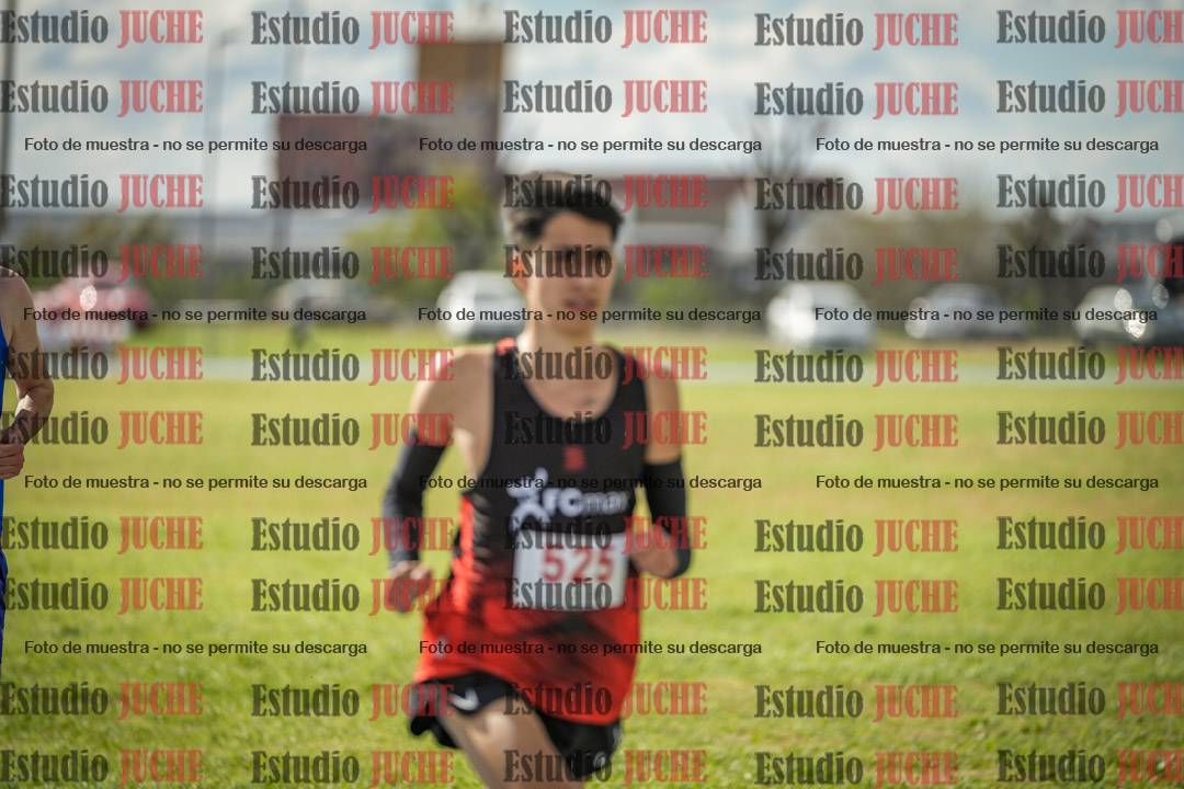 Fotos de los 5000 m llanos de varones